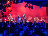 Eine Band im roten Scheinwerferlicht spielt auf einer Bühne, davor steht Publikum.